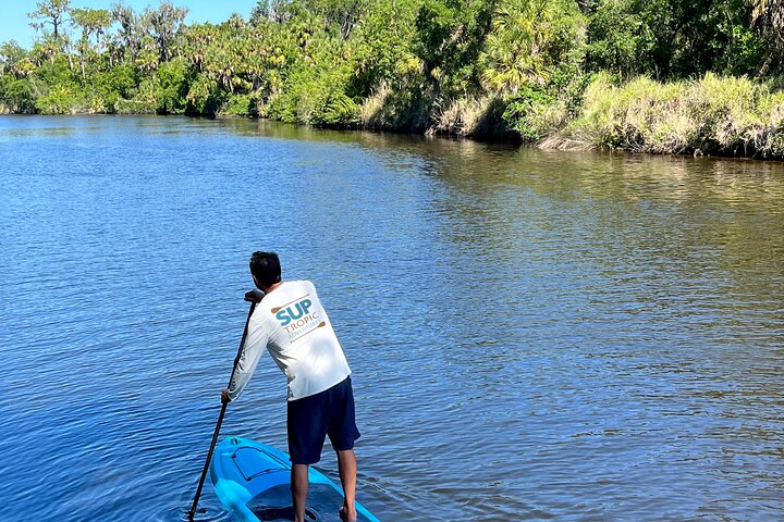 2 Hour Guided Stand Up Paddle Board Tour along Upper Manatee River - Photo 1 of 6